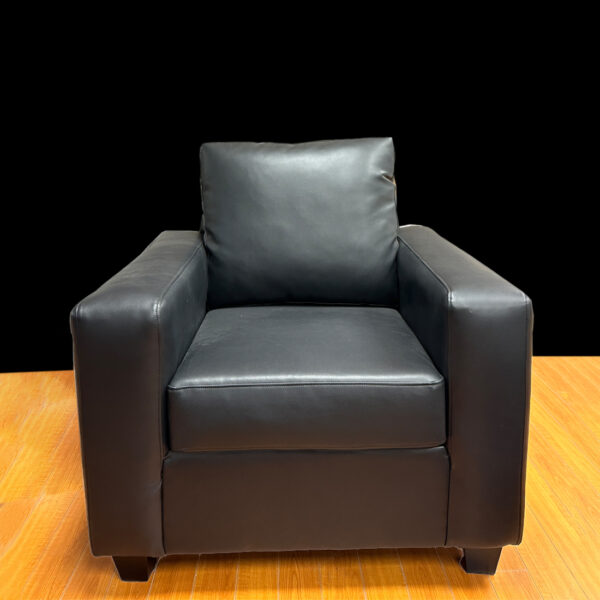 Modern Accent Chair | Custom Living Room Furniture 02-01