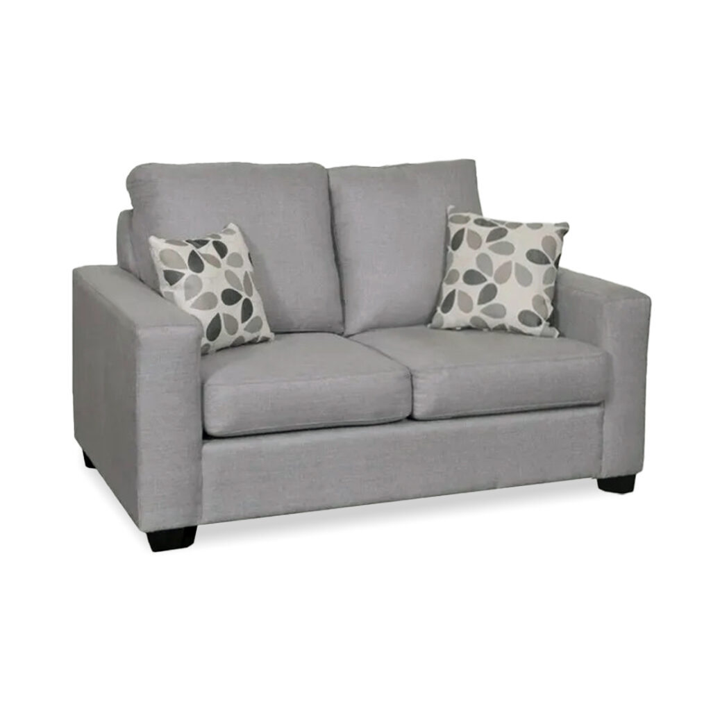 Modern Loveseat | Custom Sofa Bed 00-01